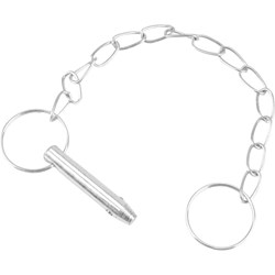 Show details for Reese Towpower Coupler Pin with Chain Picture of Reese Towpower Coupler Pin with Chain