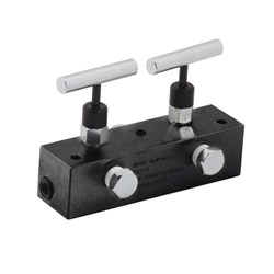Show details for Manifold Block 2 Needle Valves 6" Picture of Manifold Block 2 Needle Valves 6"