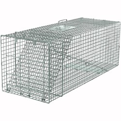 Picture for category Insect & Pest Control