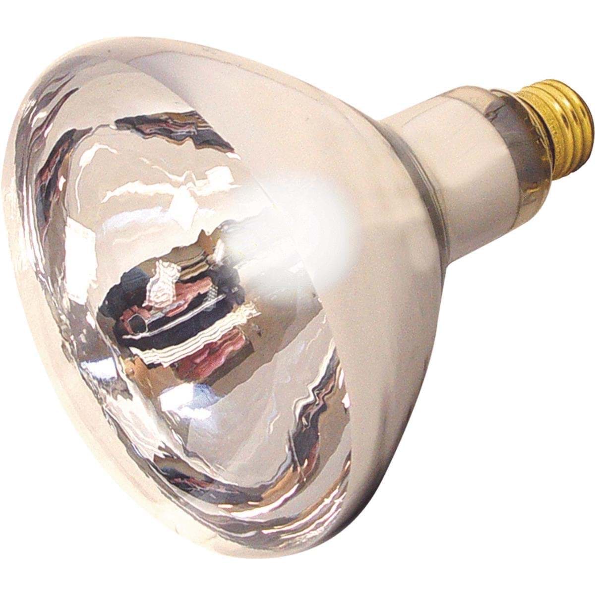 Picture of Satco R40 Incandescent Heat Light Bulb