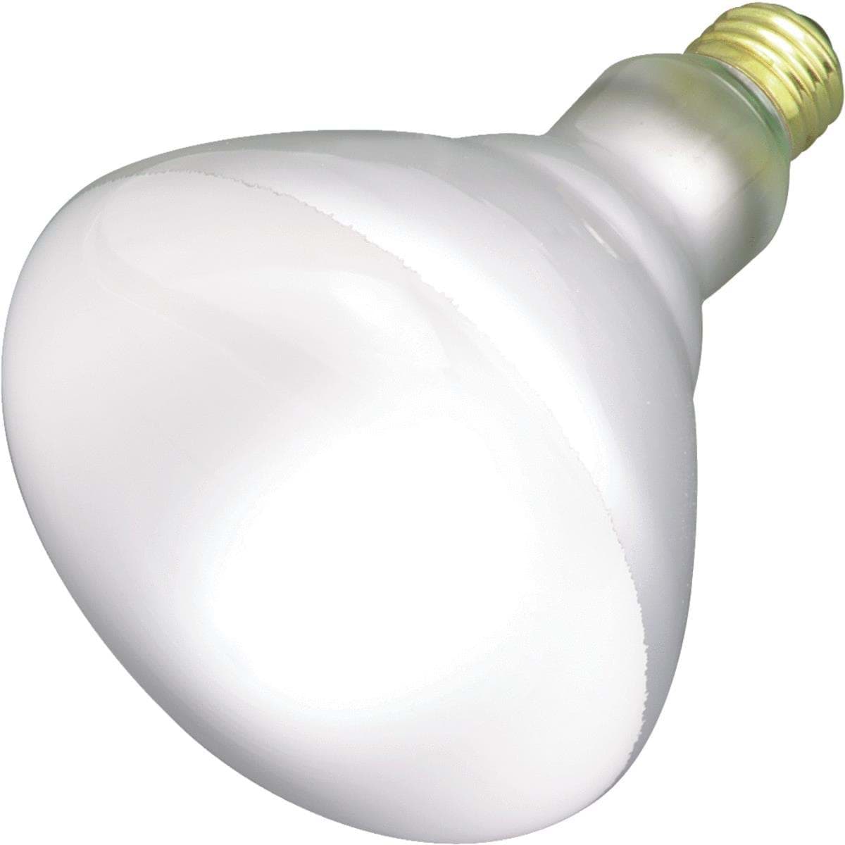 Picture of Satco BR40 Incandescent Floodlight Light Bulb