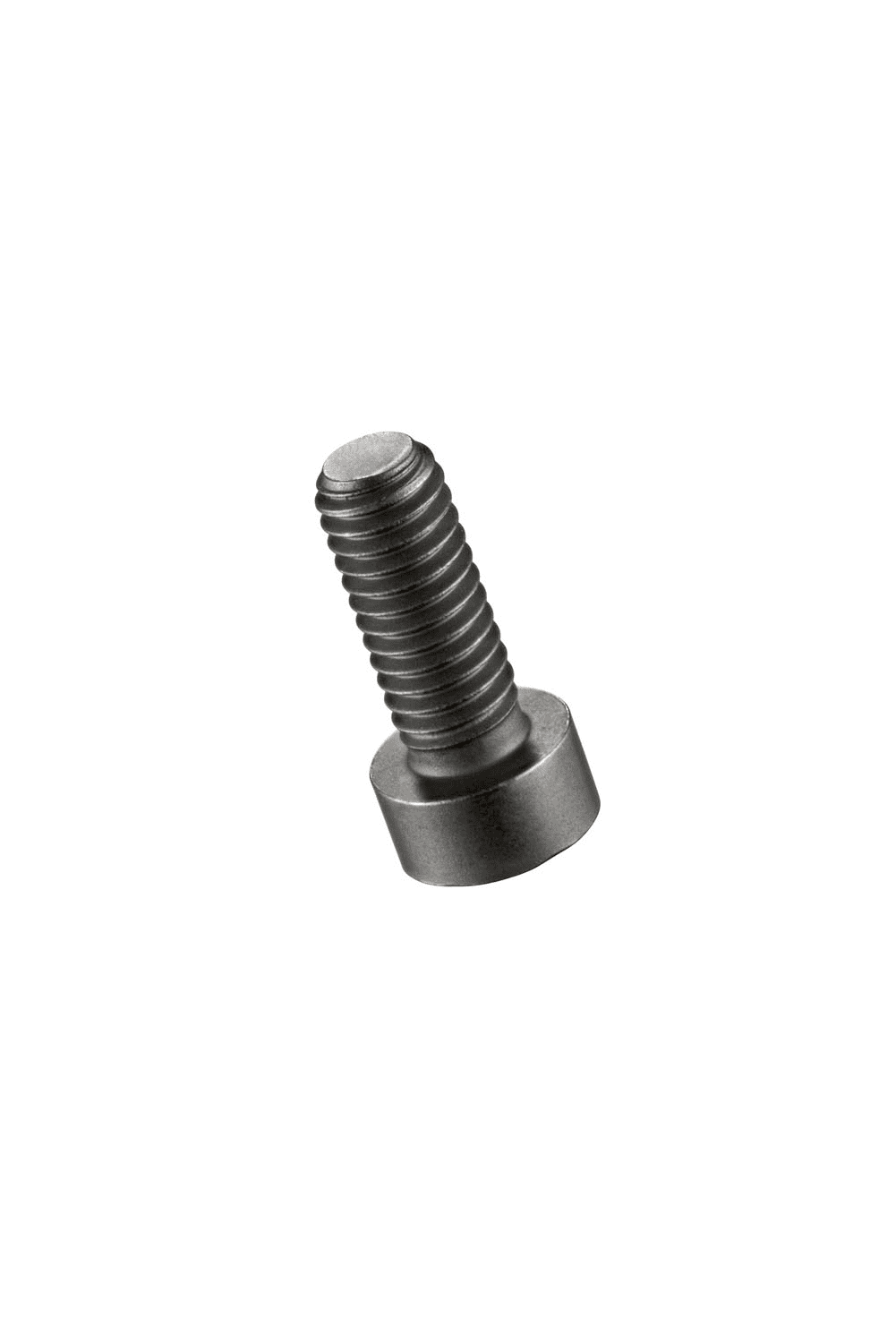 Picture of Hydra Screws (EDP Number: 0018866)