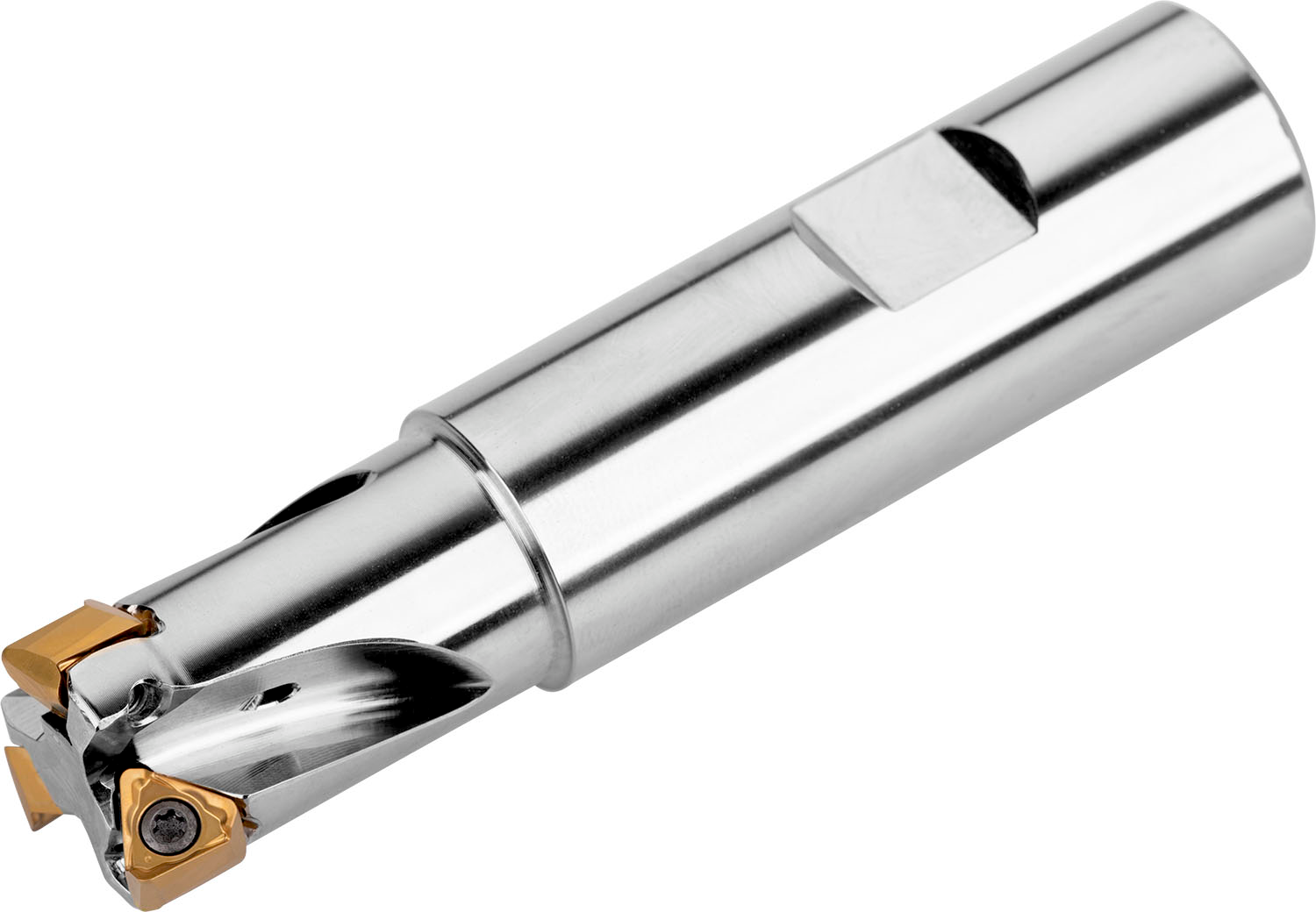 Picture of End Milling Cutter - Square Shoulder - 100A3R150W100-ISTN10-C