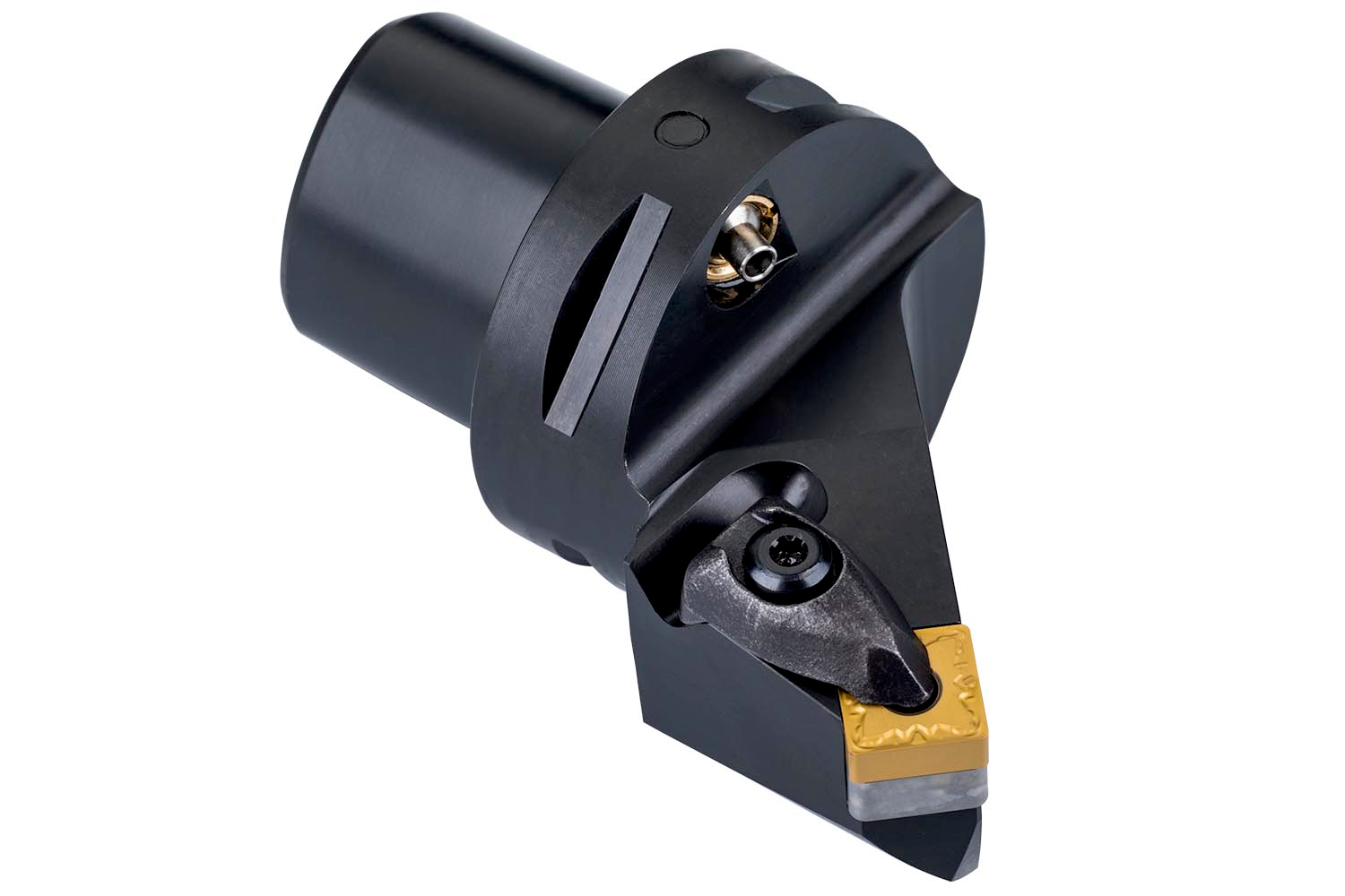 Picture of Turning Toolholder Polygon Shank Coupling ISO D - External - C4-DSSNL-27042-12