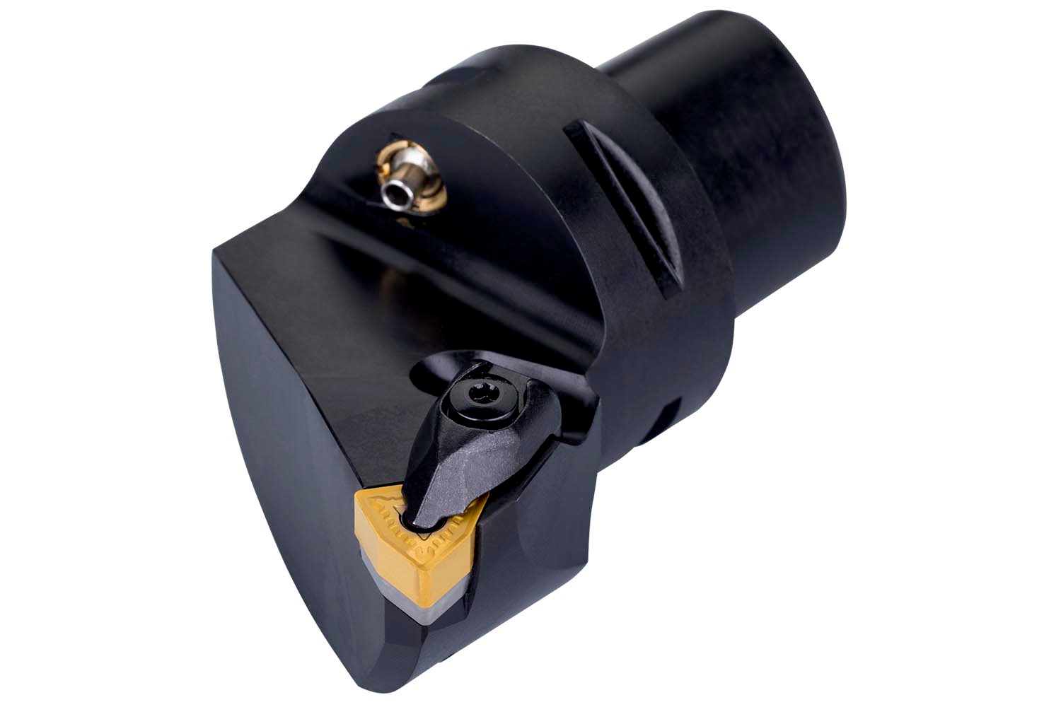 Picture of Turning Toolholder Polygon Shank Coupling ISO D - External - C4-DWLNR-27050-06