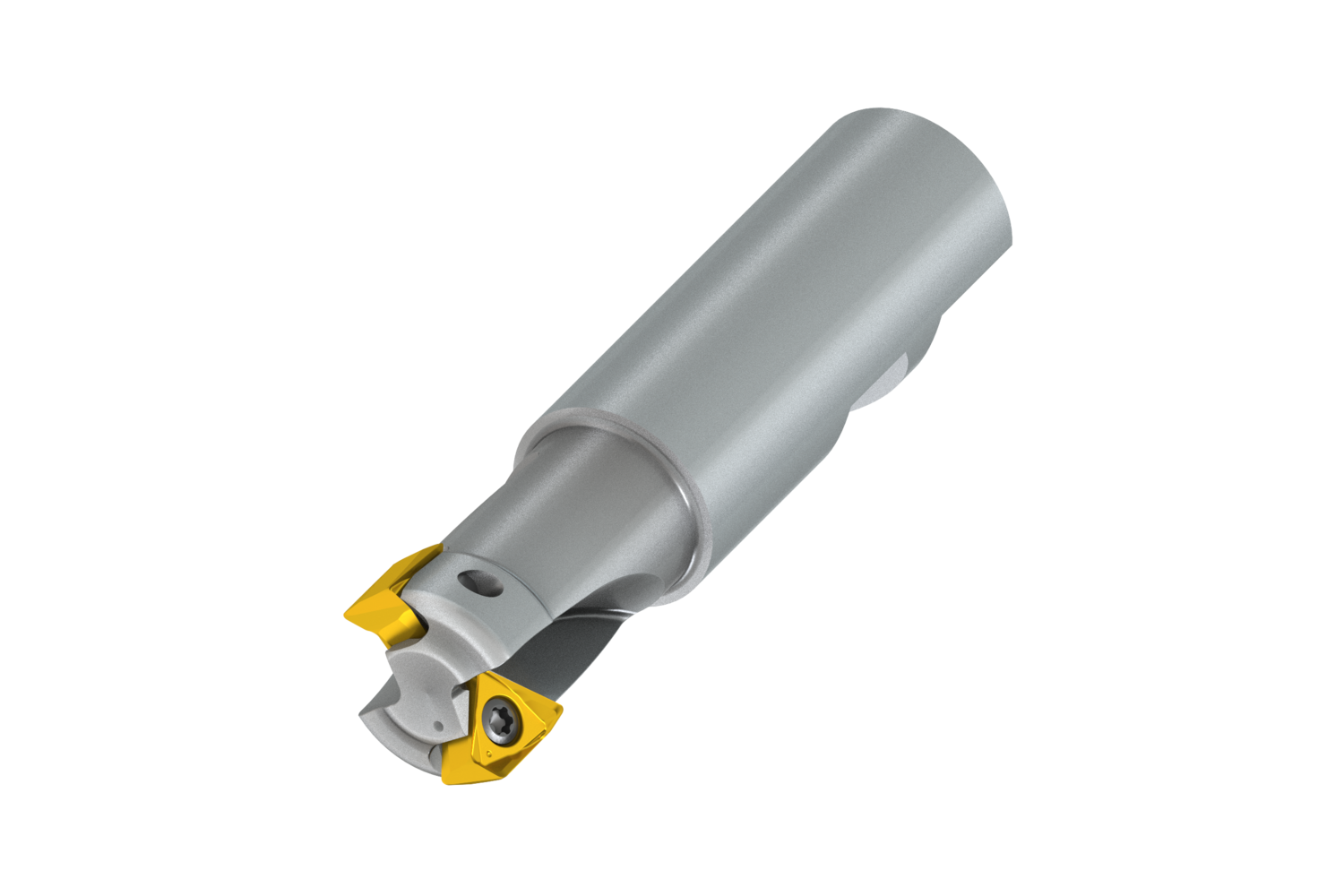 Picture of End Milling Cutter - Square Shoulder - 100A2R165W100-ISTN16-C