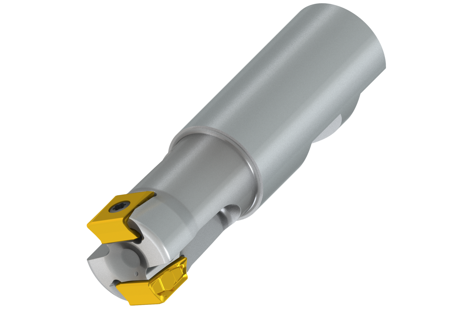 Picture of PROD LN12 90° Tangential Square Shoulder Mill with Internal Coolant - 100A2R165W100-ISLN12X-C