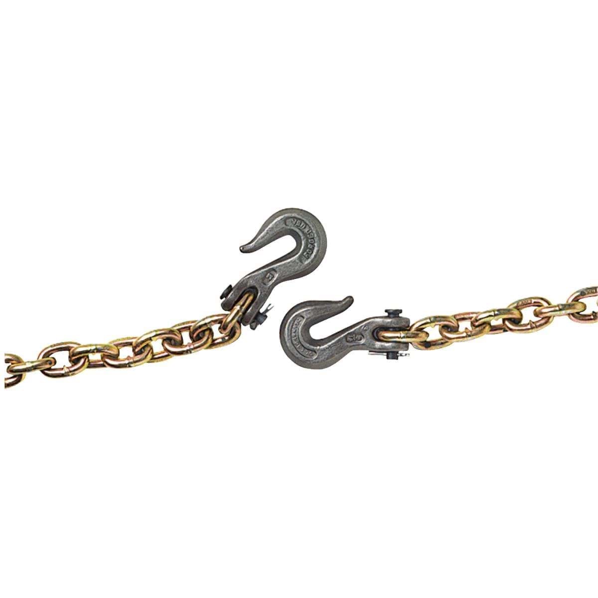 Picture of Campbell Grade 70 Transport Chain