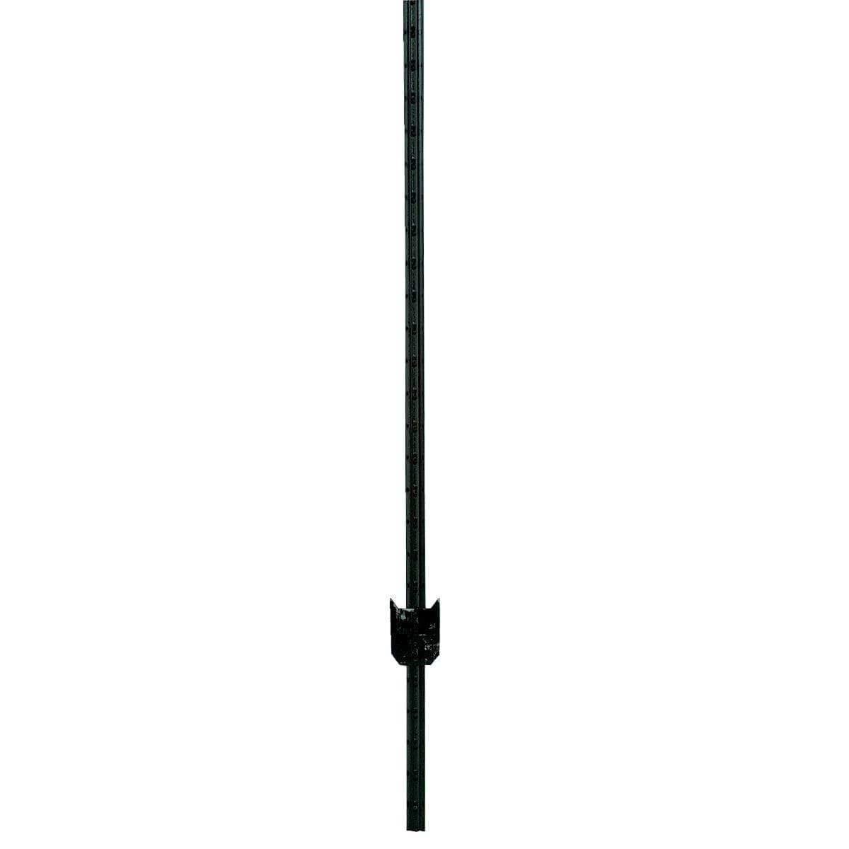 Picture of W. Silver T-Post