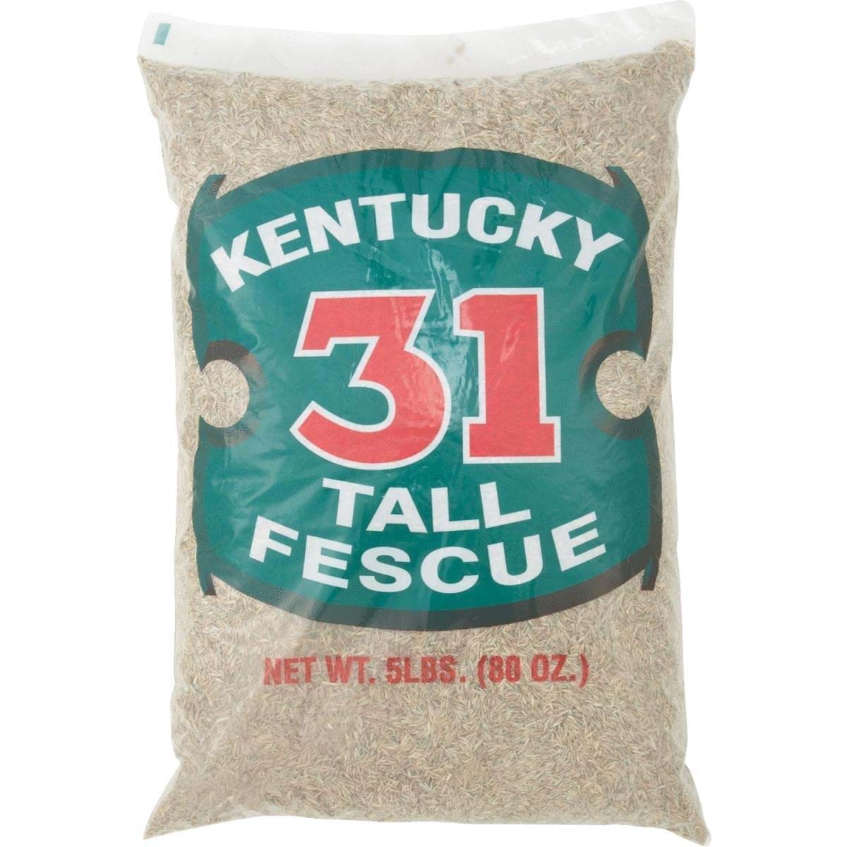 Picture of Barenbrug Kentucky 31 Tall Fescue Grass Seed