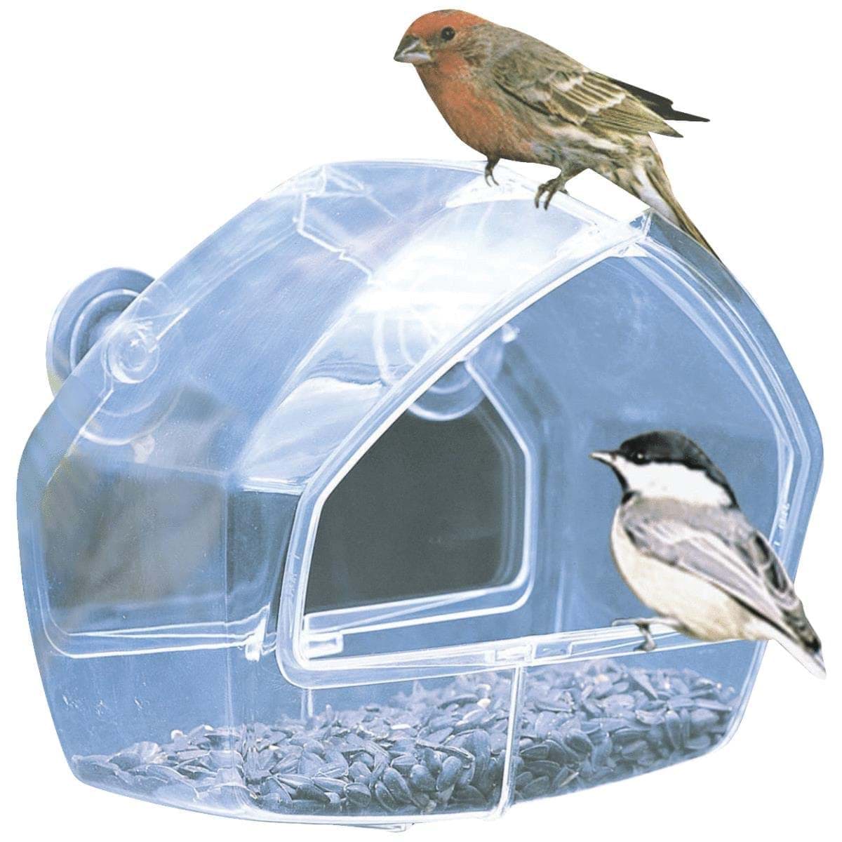 Picture of Birdscapes Window Bird Feeder