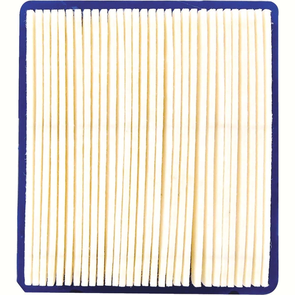 Picture of Arnold Tecumseh 5 To 5.5 HP Vector Engine Air Filter
