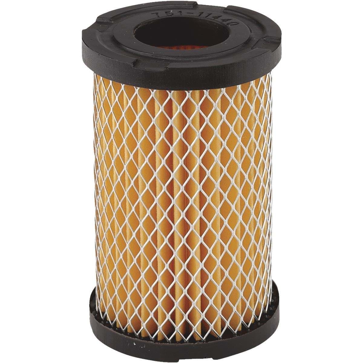 Picture of Arnold Tecumseh 3 To 4.5 HP Vertical Engine Air Filter