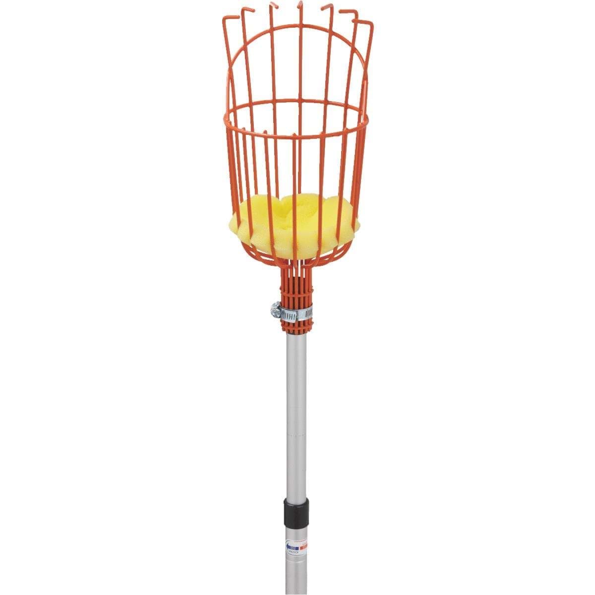 Picture of Best Garden Fruit Picker