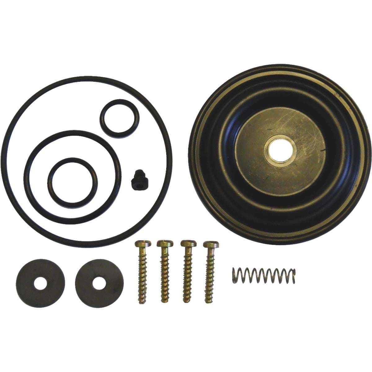 Picture of Solo Diaphragm Pump Repair Kit