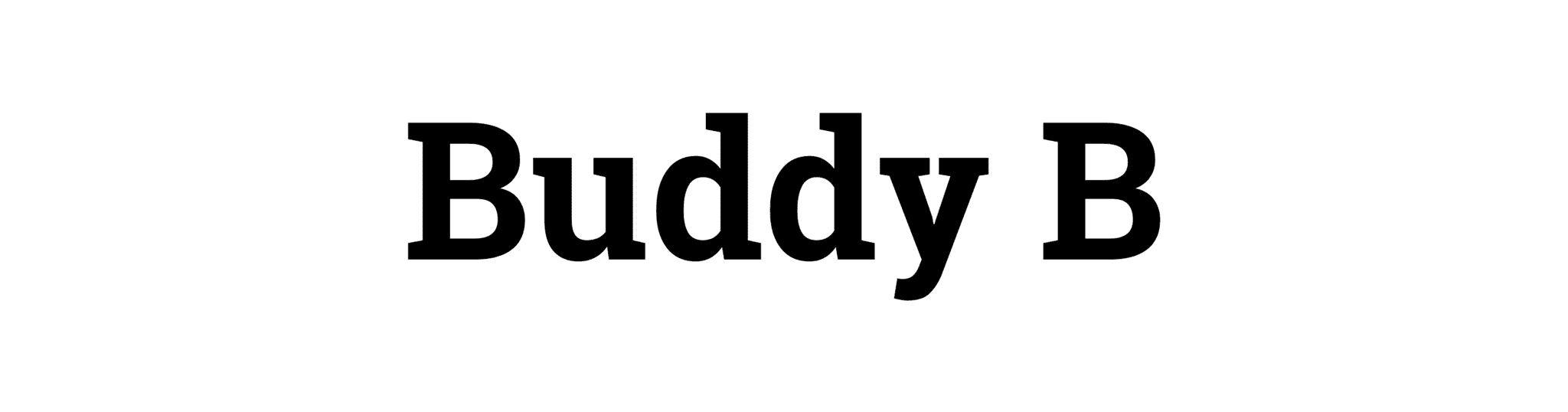 Picture for manufacturer Buddy B