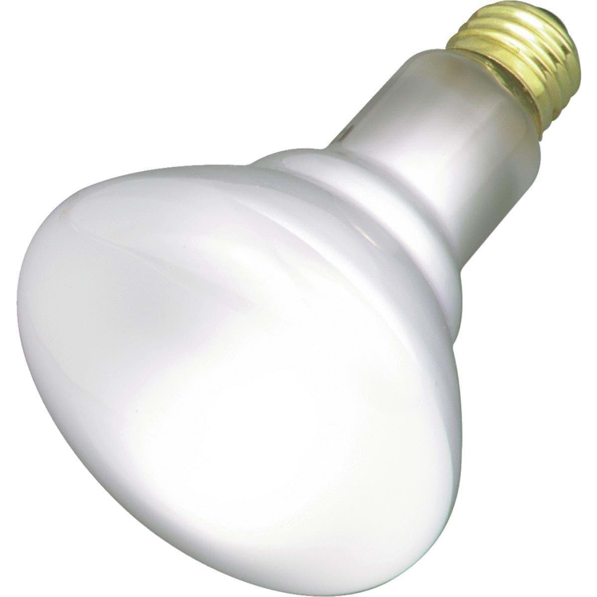 Picture for category Incandescent Floodlight Light Bulb