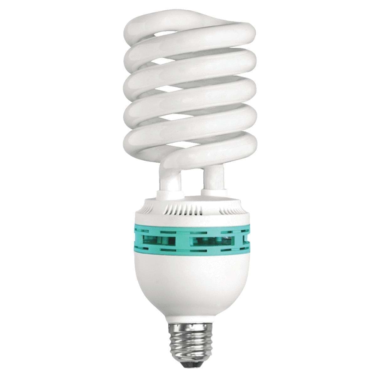 Picture for category CFL Light Bulb