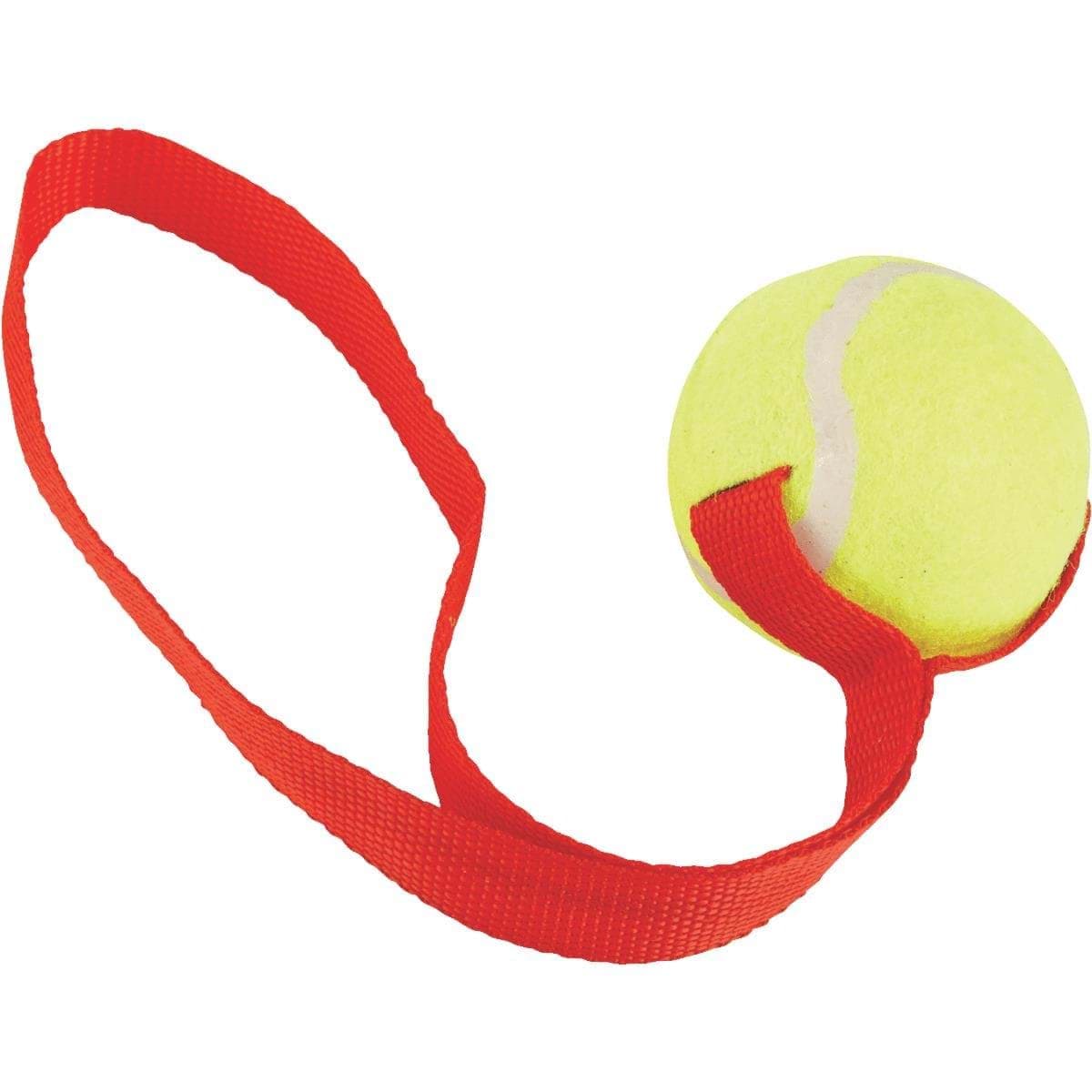 Picture of Smart Savers Tug Dog Toy