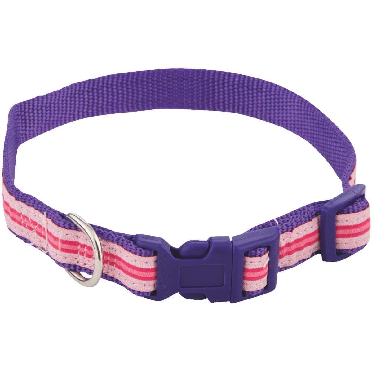 Picture of Westminster Pet Highland Dog Collar