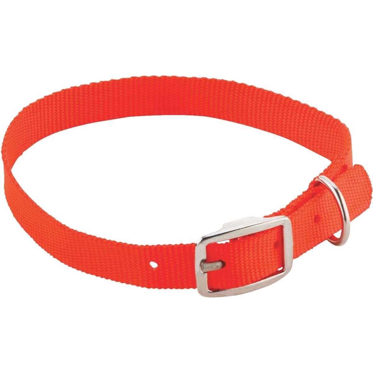 dope dog collars
