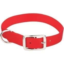 Picture for category Dog Collar