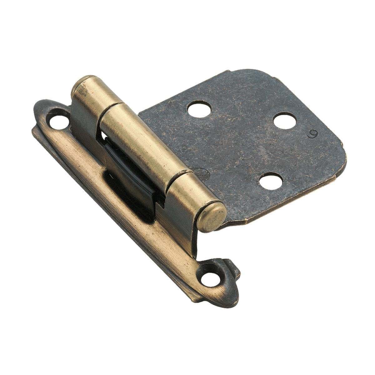 Picture for category Overlay Hinge