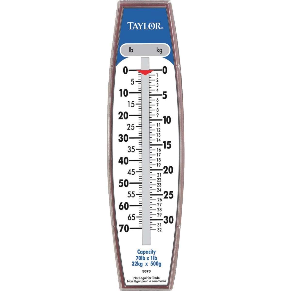Picture of Taylor Steel Hook Hanging Scale