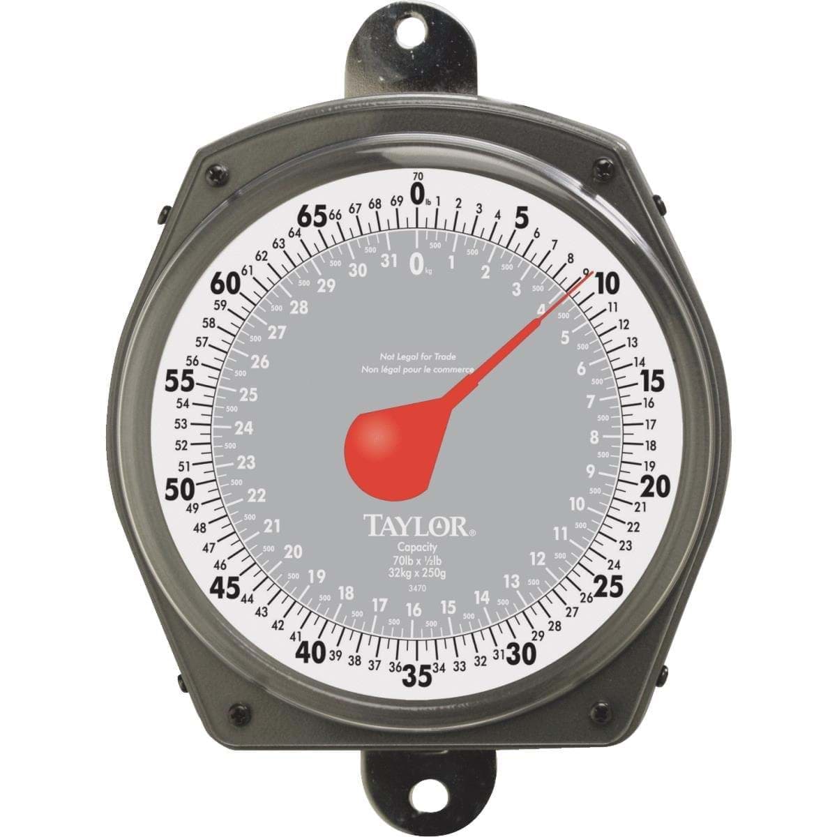 Picture of Taylor Dial Hanging Scale