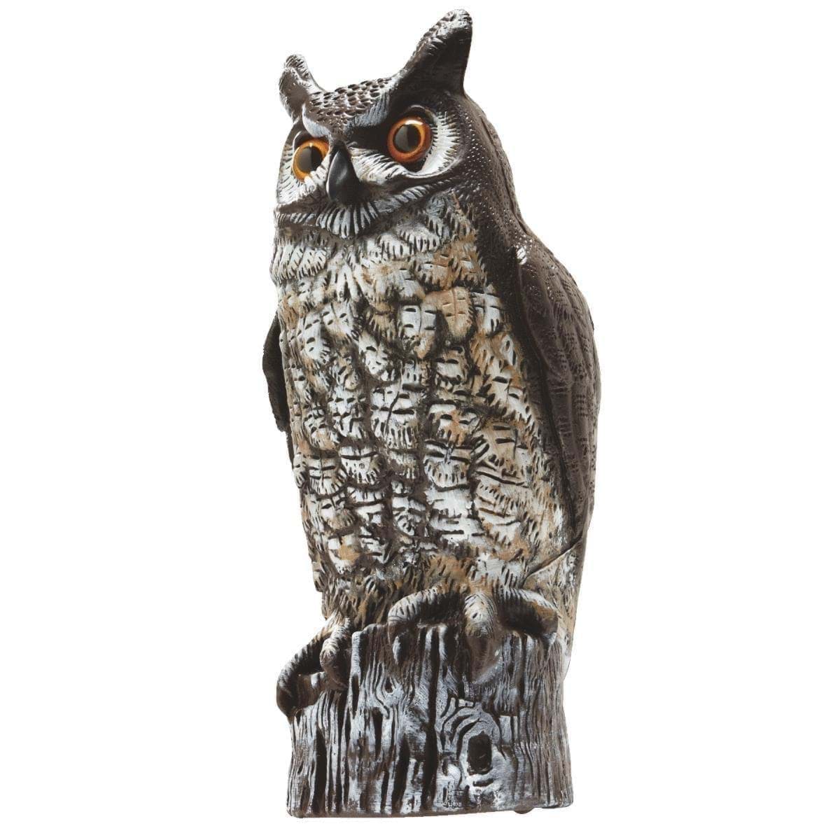 Picture for category Pest Deterrent Decoy