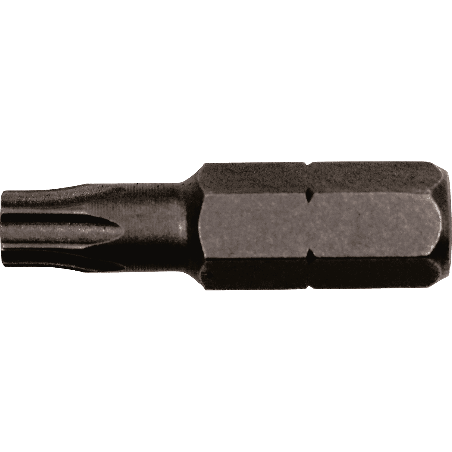 Picture of Torx Insert Bit, T25