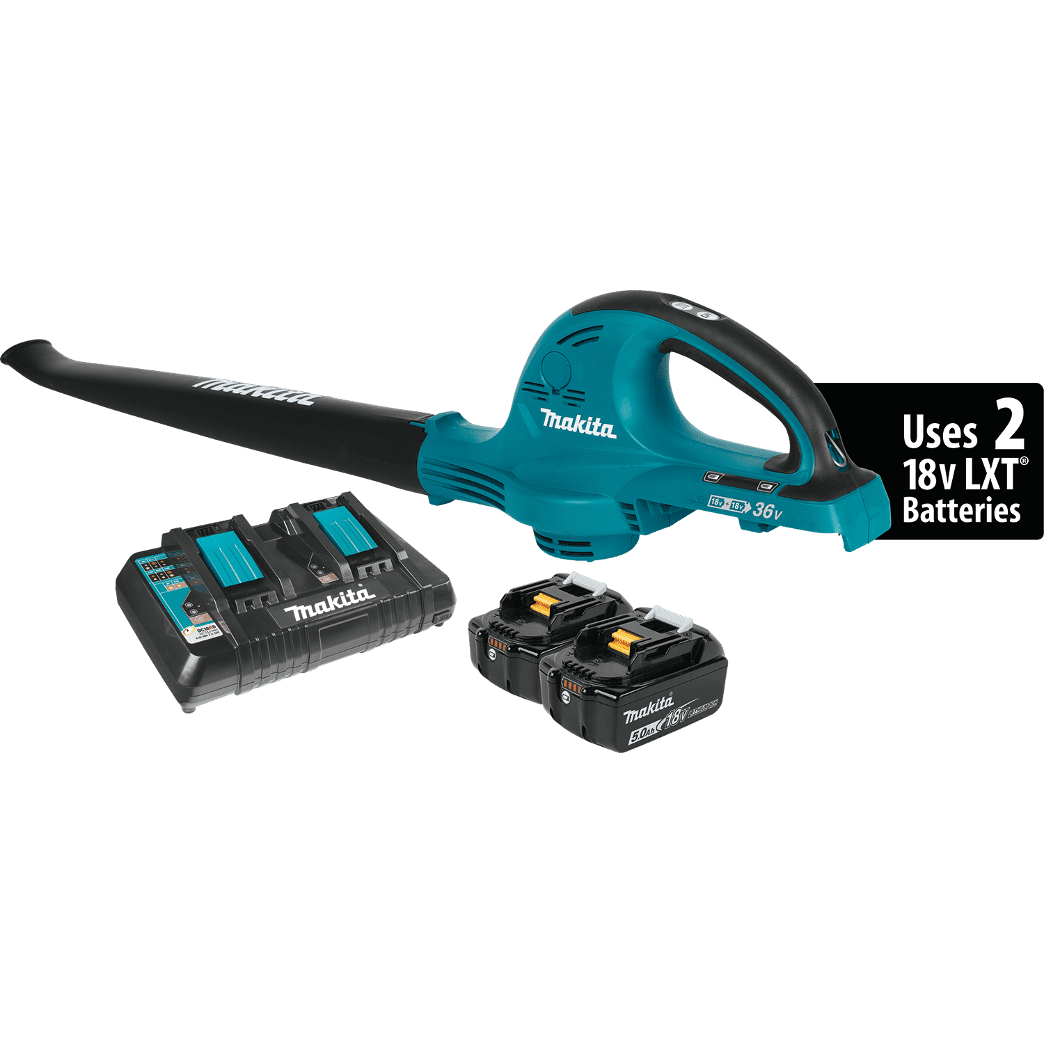 Picture of 18V X2 (36V) LXT Lithium-Ion Cordless Blower Kit (5.0Ah)